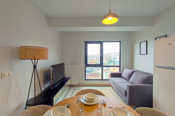 Nef 08 2+1 Furnished Rental Apartment (773)