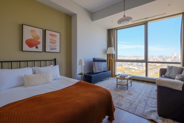 Metropol 1+0 Furnished Rental Apartment (d259)