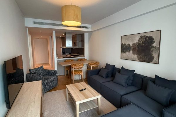 Petek Taksim Residence 1+1 Furnished Rental Apartment (861)